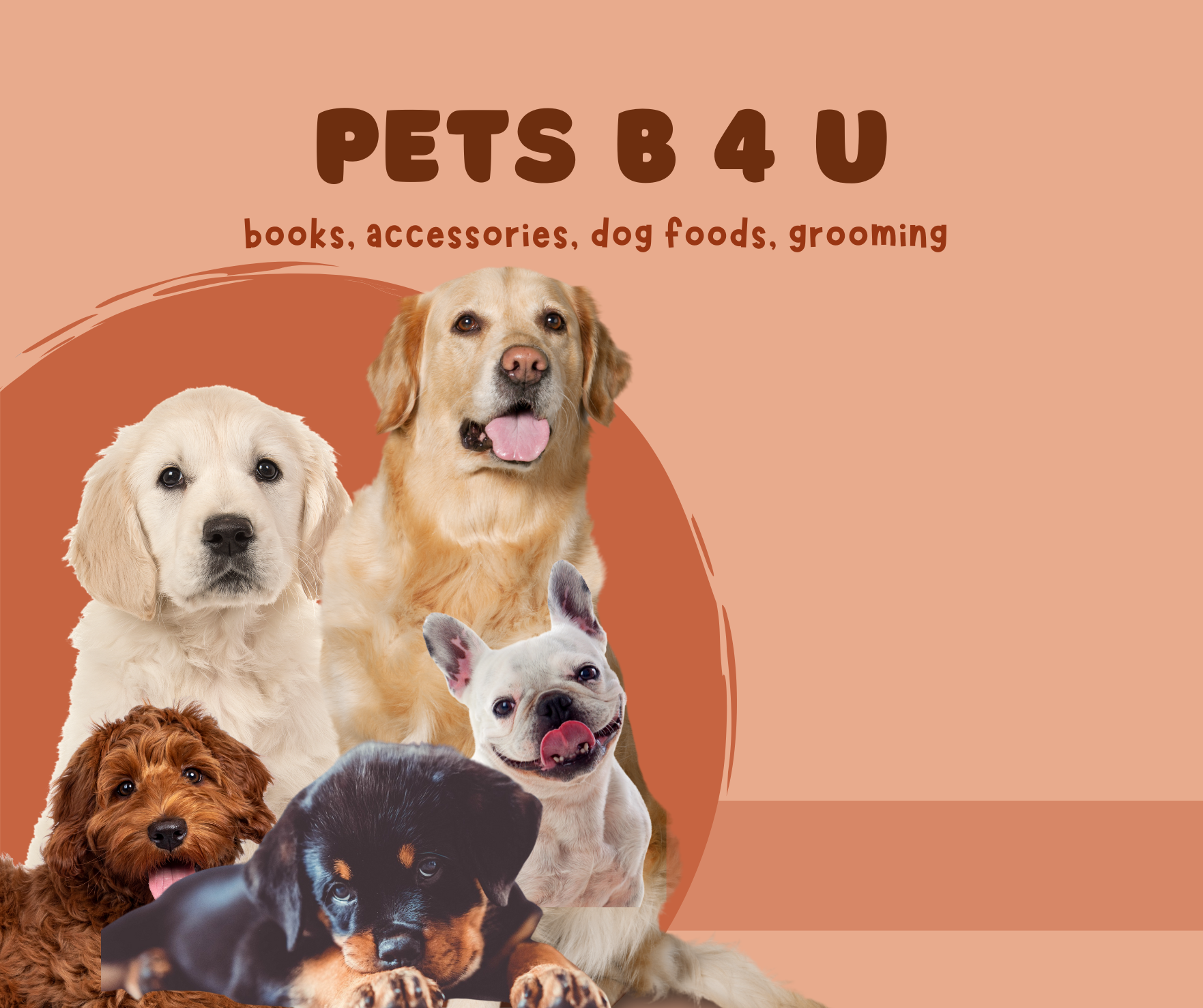 pets b 4 u